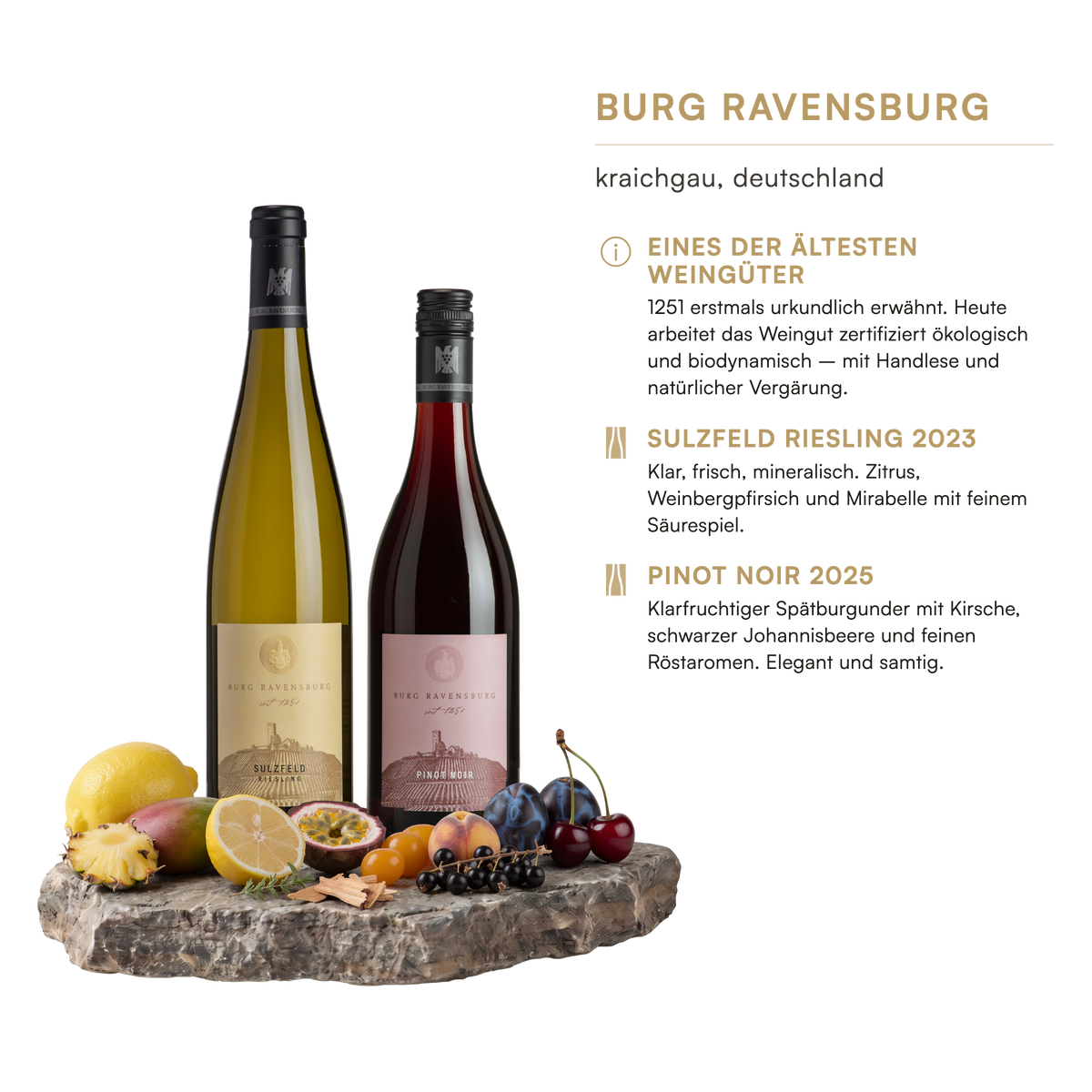 Weingut Burg Ravensburg, Kraichgau: Sulzfeld Riesling 2023 und Pinot Noir 2025