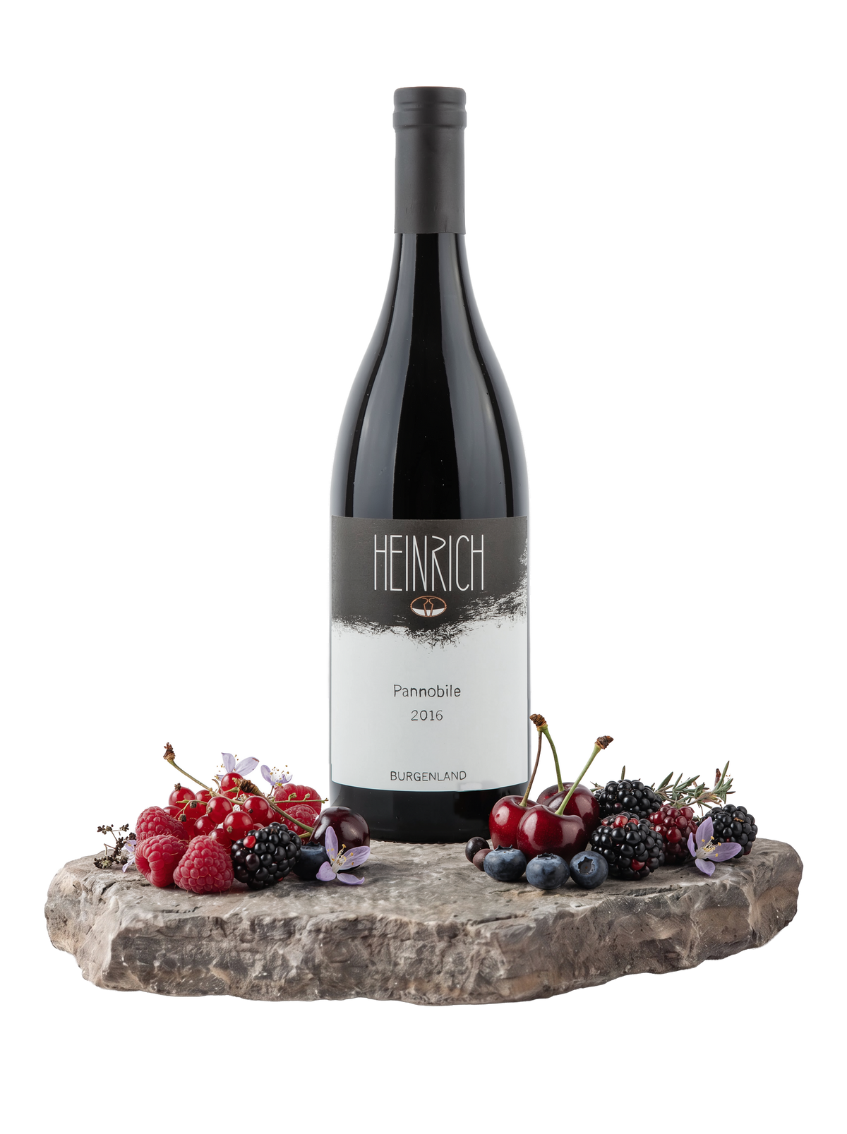 2014 Pannobile
