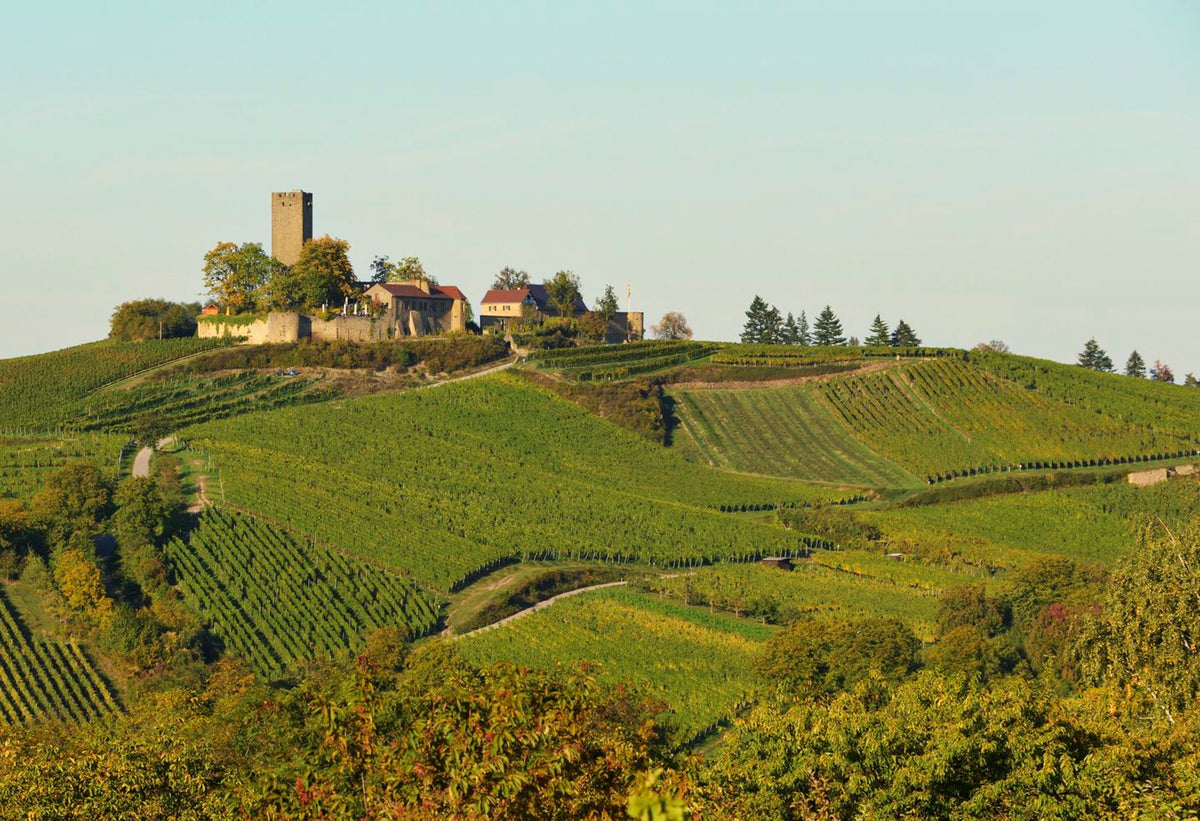 Burg Ravensburg im Kraichgau